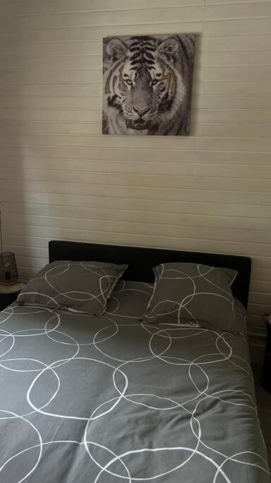 Magnifique Appartement T2 乐巴凯尔斯 外观 照片